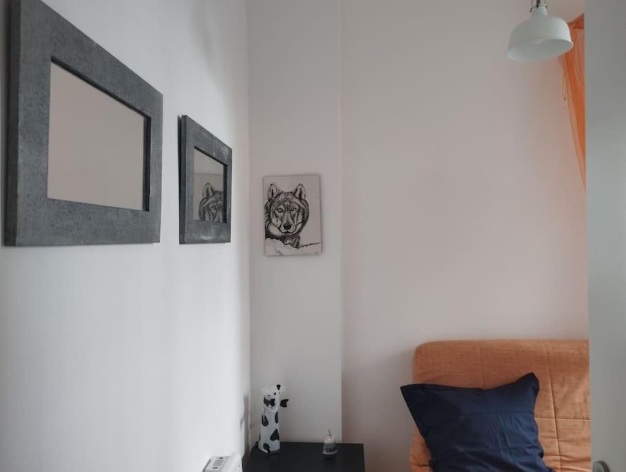 Appartement En Plein Centre. Carpentras Zewnętrze zdjęcie